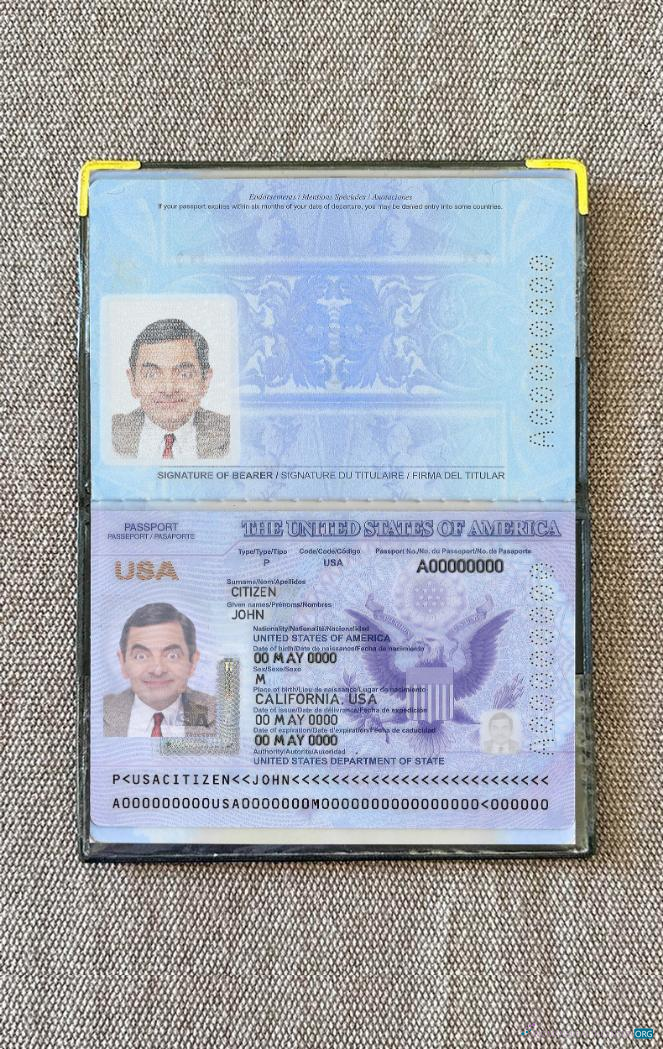 Download USA passport 2020 2023 photolook Photoshop template